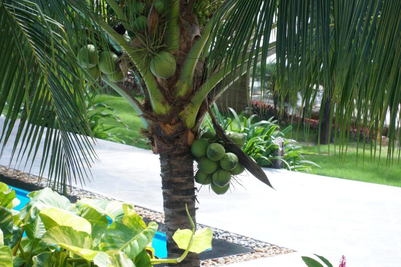 Ravenala Muine Resort Phan Thiet Exterior photo